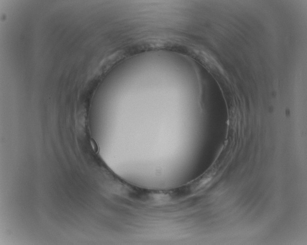 X0000075840509200610061850