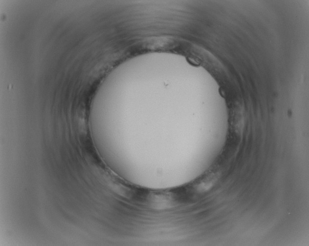 X0000075840510200610061850