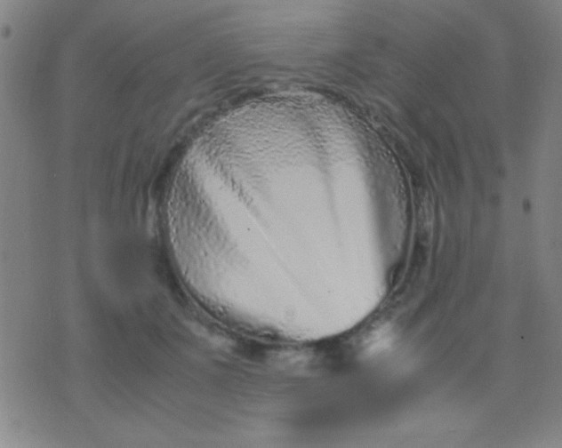 X0000075840511200610061850