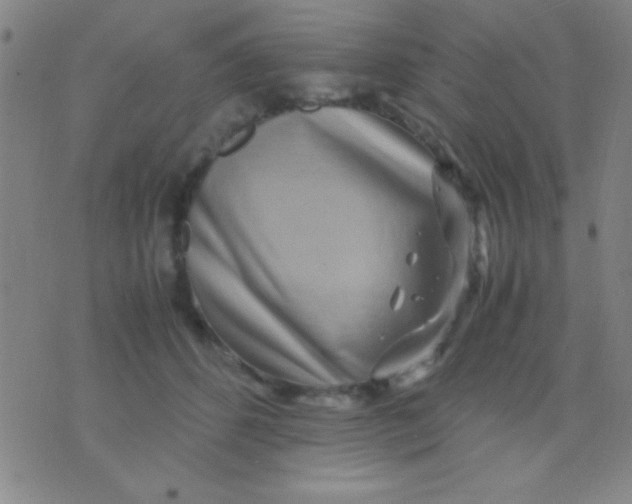 X0000075840512200610061850