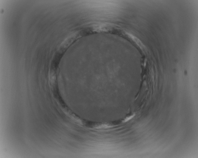 X0000075840513200610061850