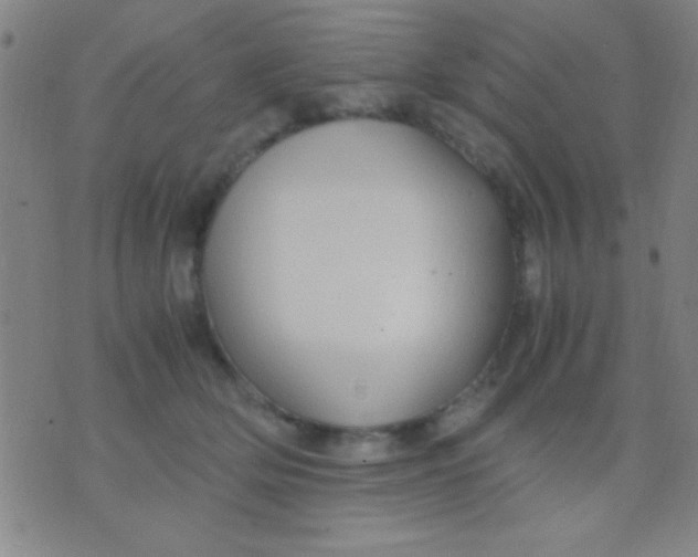 X0000075840514200610061850