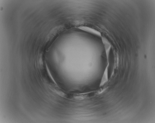 X0000075840516200610061850