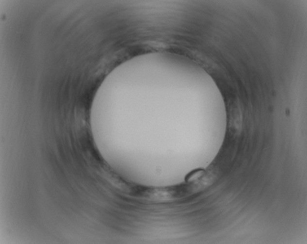 X0000075840518200610061850