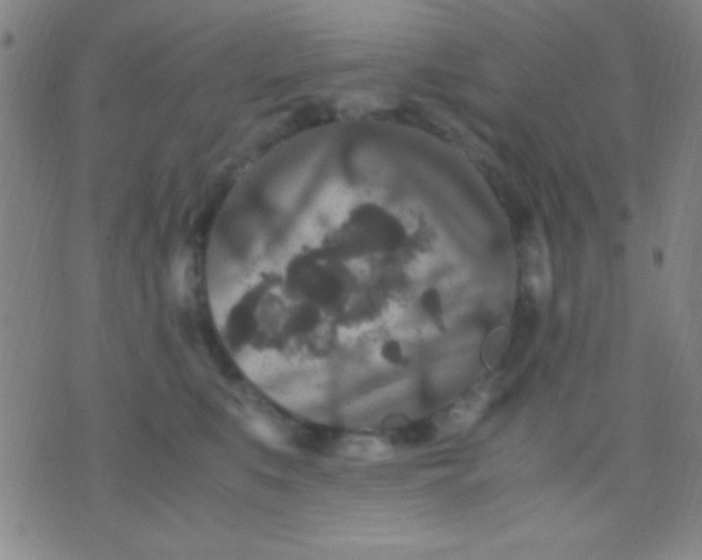 X0000075840519200610061850