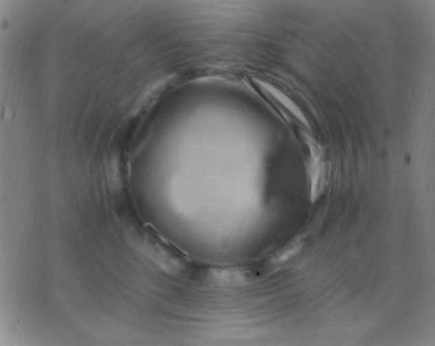 X0000075840520200610061850