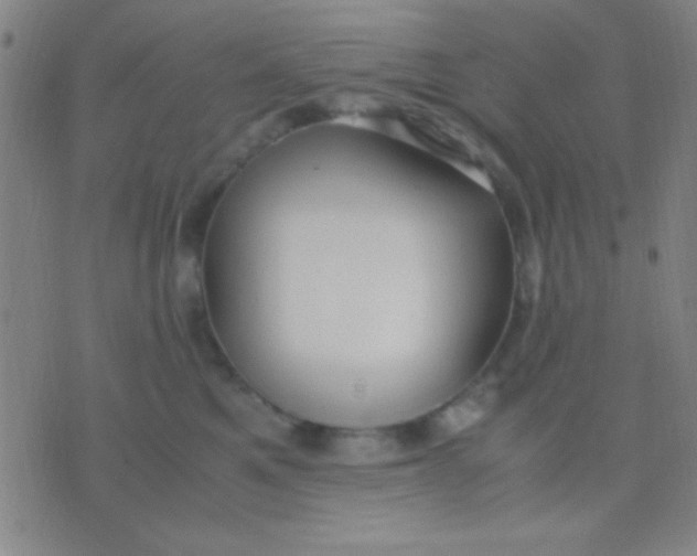 X0000075840521200610061850