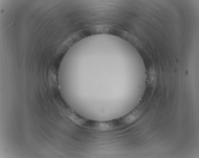 X0000075840522200610061850