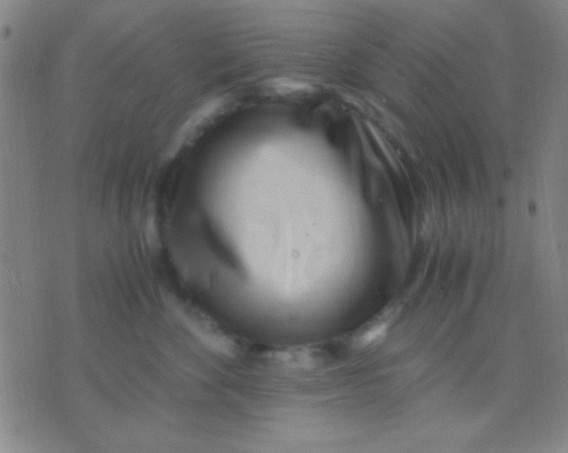 X0000075840524200610061850