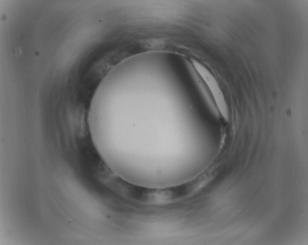 X0000075840525200610061850