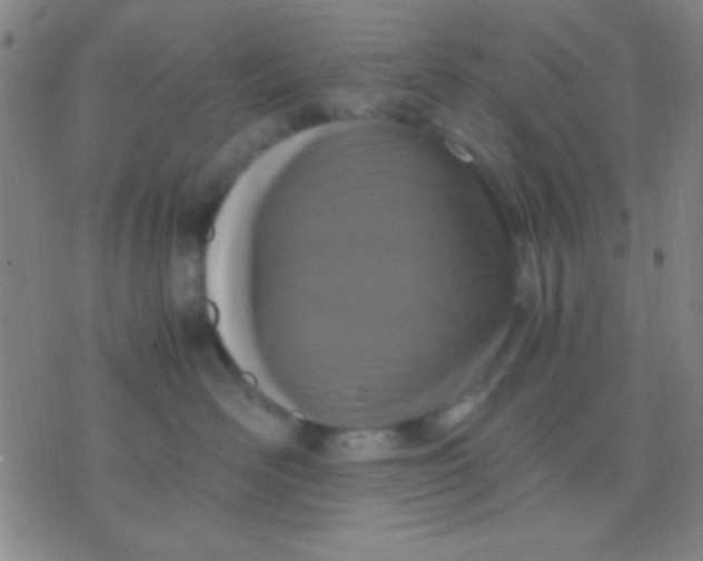 X0000075840526200610061850