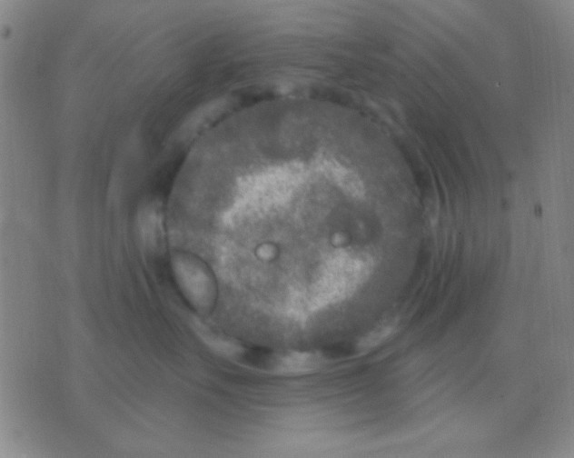 X0000075840527200610061850