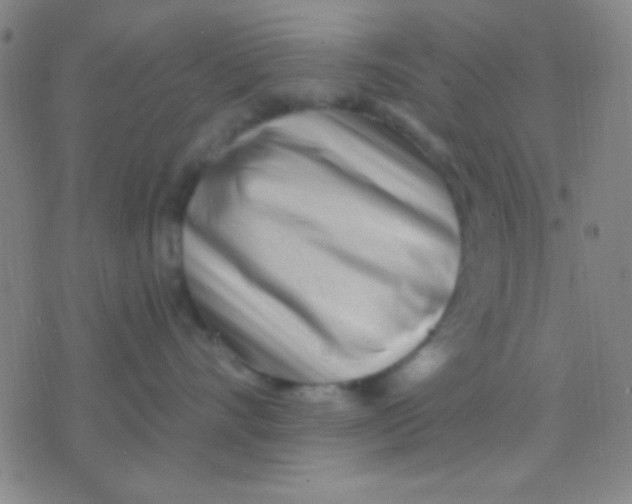 X0000075840528200610061850