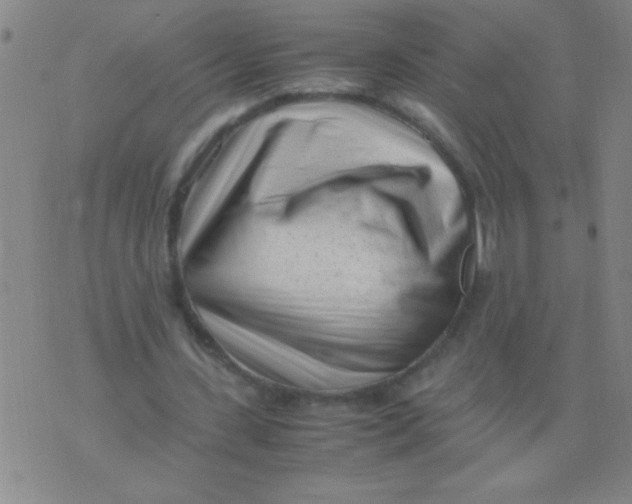 X0000075840531200610061849