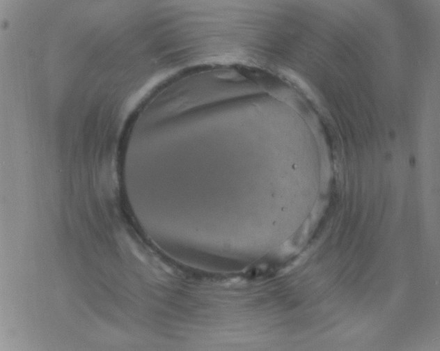 X0000075840532200610061849