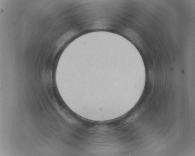 X0000075840534200610061849