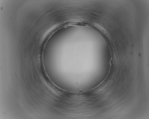 X0000075840535200610061849