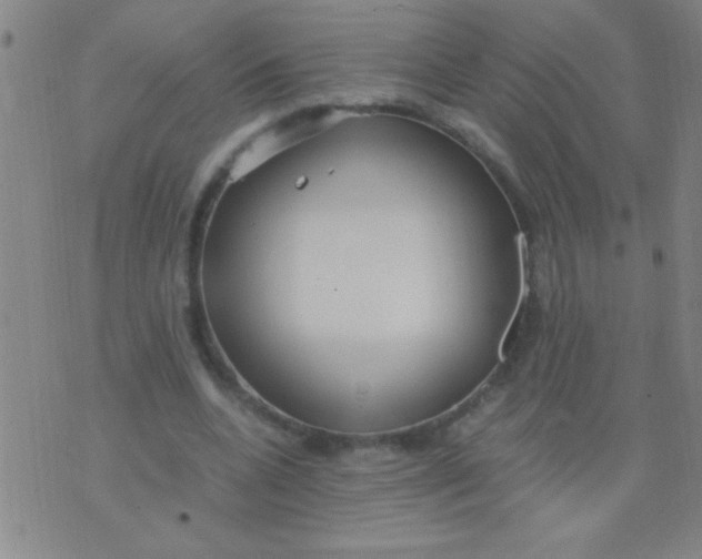 X0000075840536200610061849