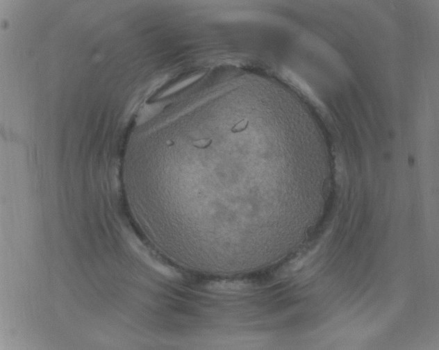 X0000075840537200610061849