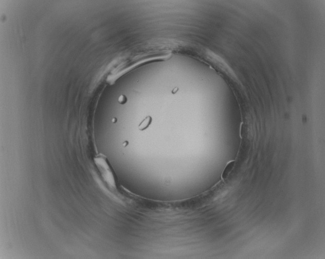 X0000075840538200610061849