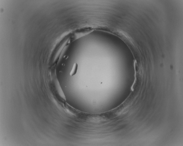 X0000075840540200610061849