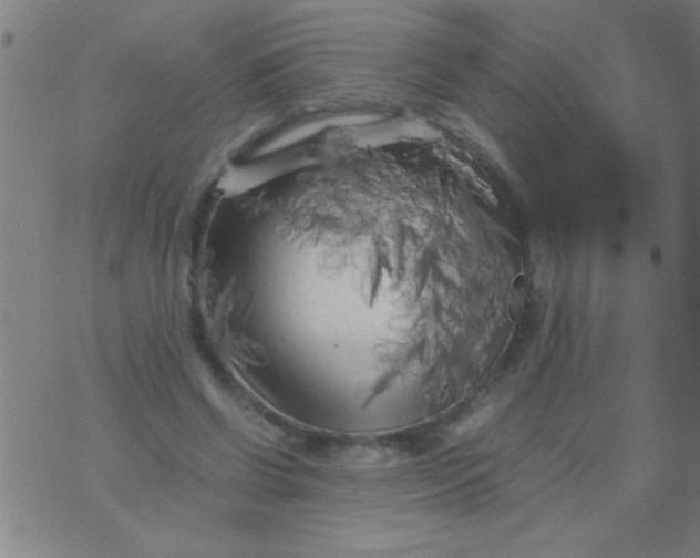 X0000075840542200610061849