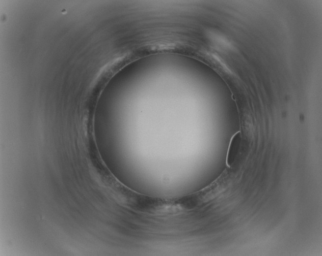 X0000075840543200610061849