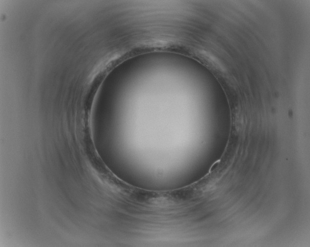 X0000075840544200610061849