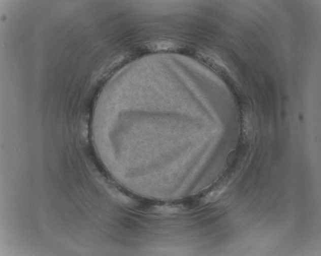 X0000075840545200610061849