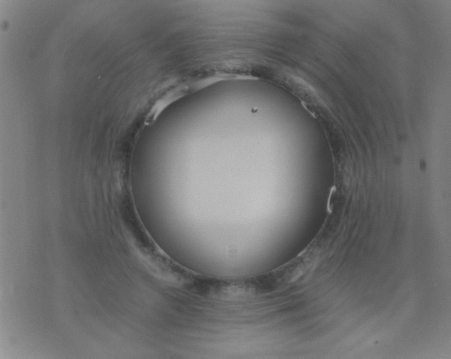 X0000075840546200610061850