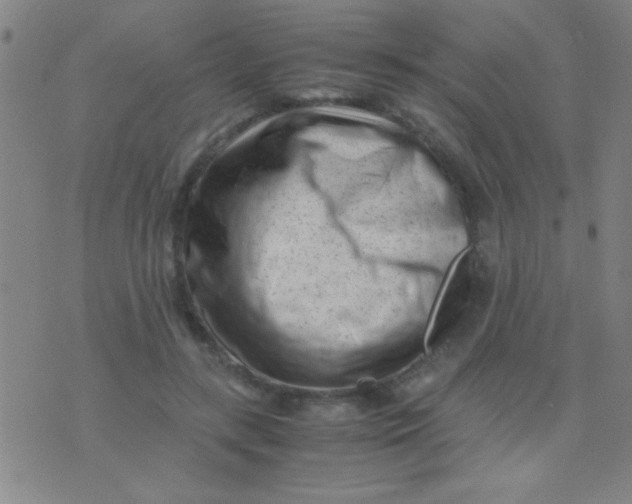 X0000075840547200610061850