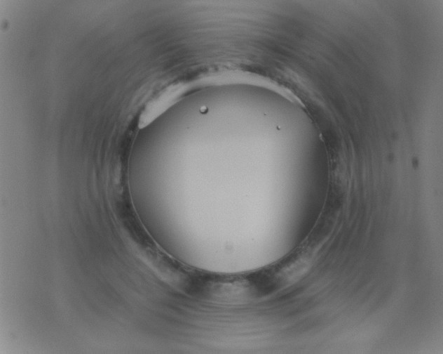 X0000075840548200610061850