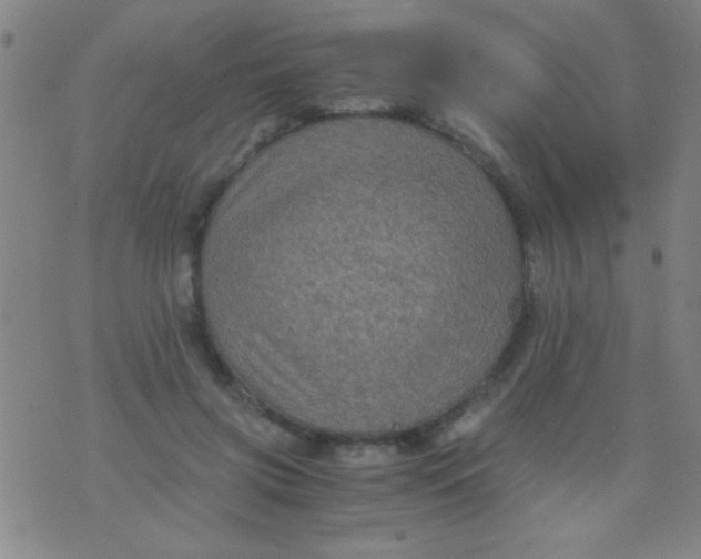 X0000075840549200610061850