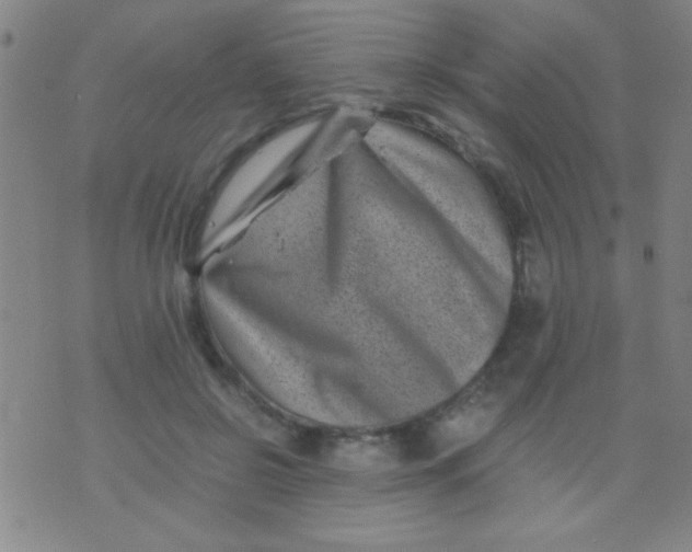 X0000075840550200610061850