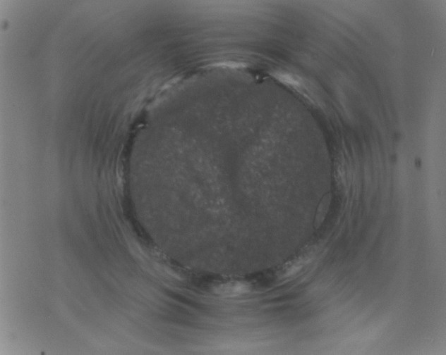 X0000075840551200610061850