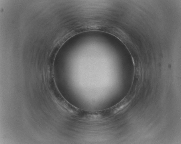 X0000075840552200610061850