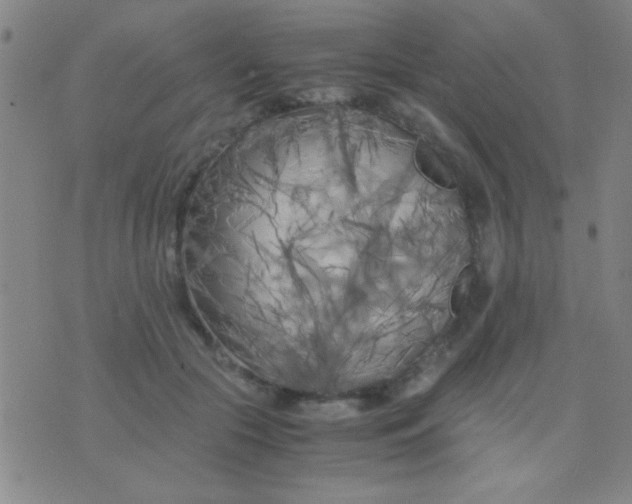 X0000075840553200610061850