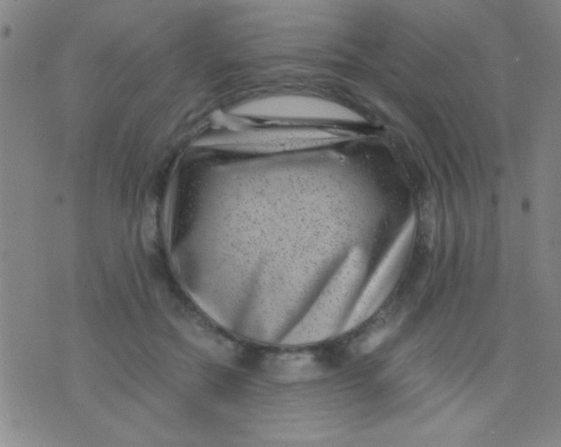 X0000075840554200610061850