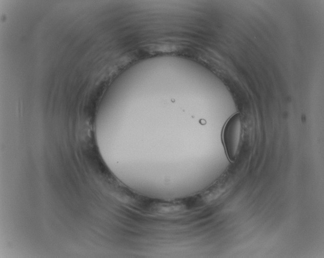 X0000075840555200610061850