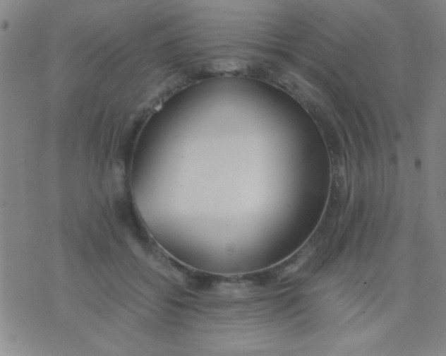 X0000075840556200610061850