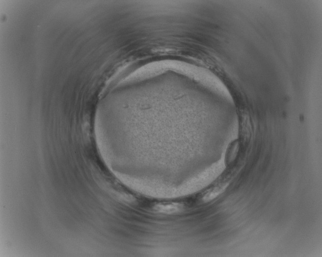 X0000075840557200610061850