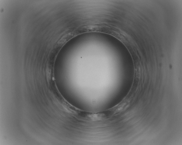 X0000075840558200610061850