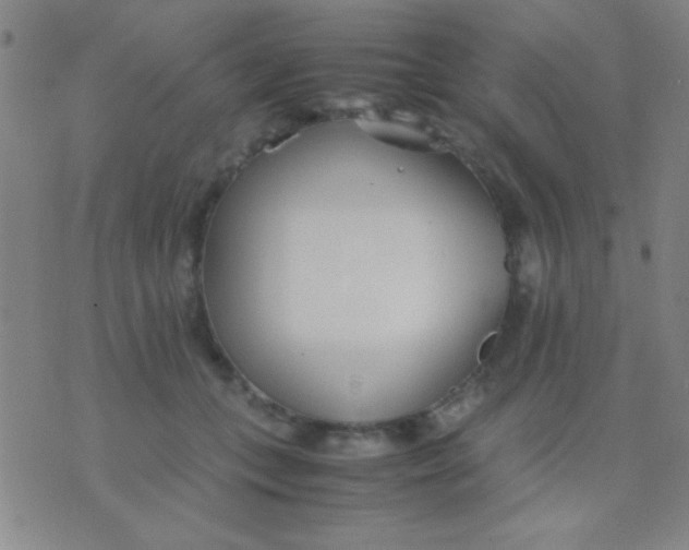 X0000075840559200610061850