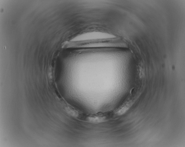 X0000075840561200610061850