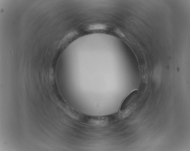 X0000075840563200610061850