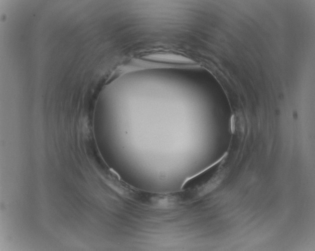 X0000075840564200610061850