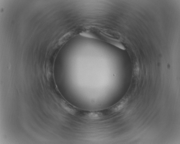 X0000075840566200610061850