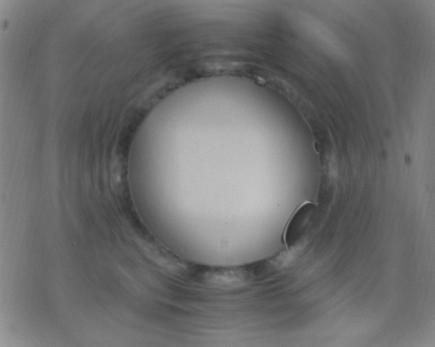 X0000075840567200610061850