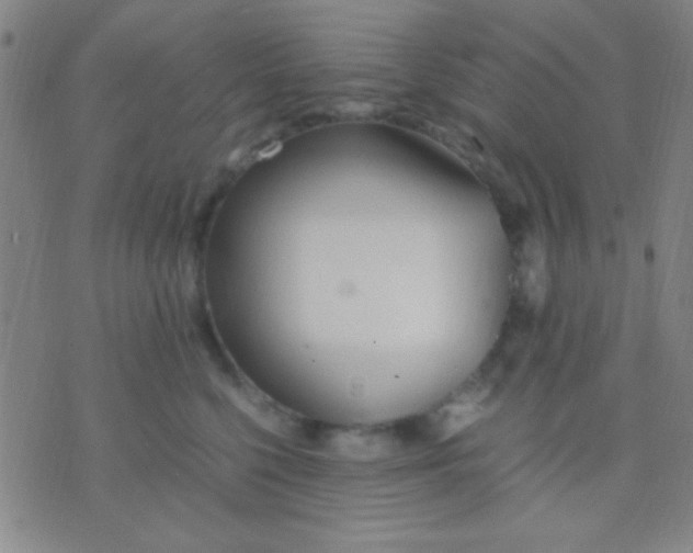 X0000075840568200610061850