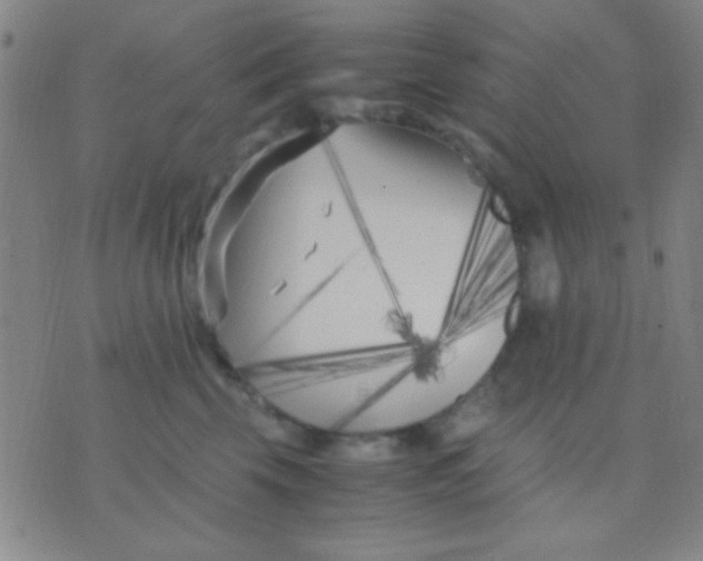 X0000075840569200610061850